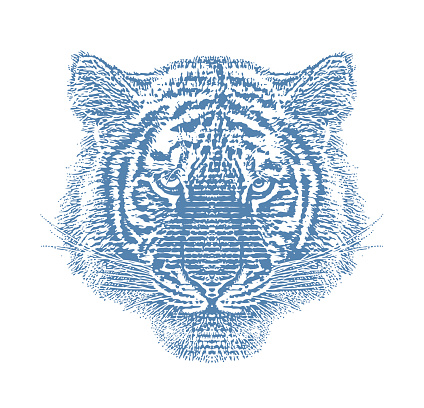 Siberian Tiger Head cut out on white background