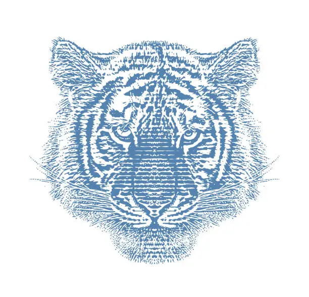 Vector illustration of Siberian Tiger Head
