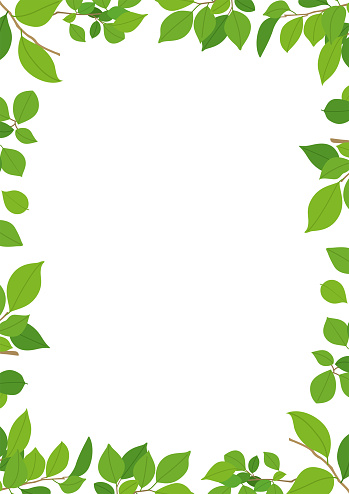 Green leaf design frame. background material.