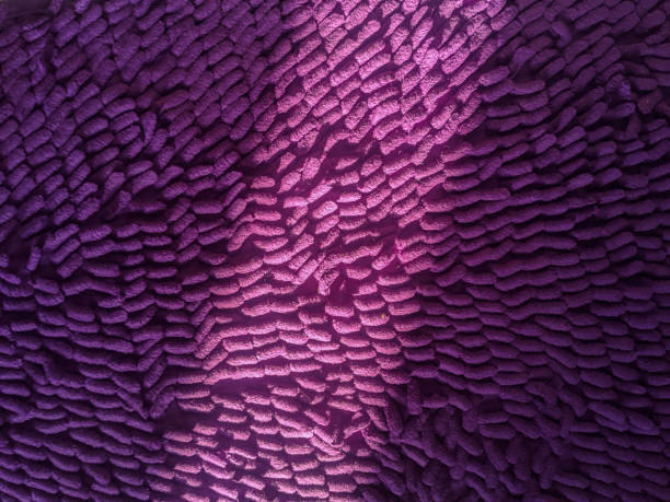 istock These mats look exposed to the sun 1494448906