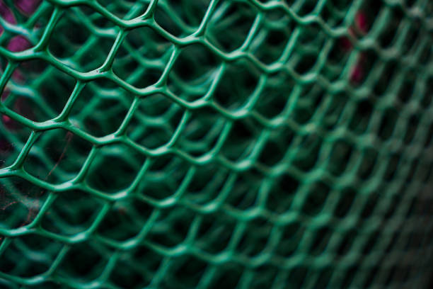 istock The background image shows a nicely stacked green large net. 1494454841