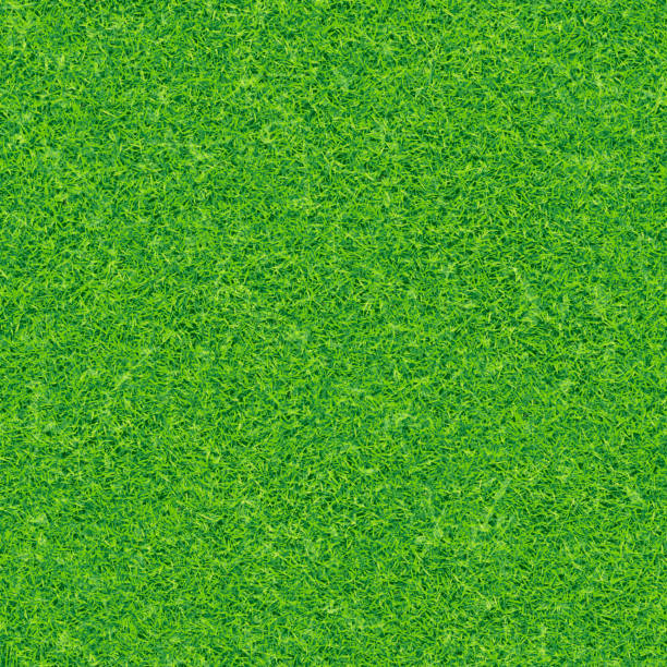 Seamless green grass vector background vector art illustration
