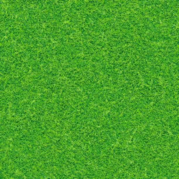 Vector illustration of Seamless green grass vector background