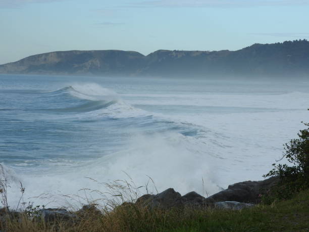 istock New Zealand 1494459680