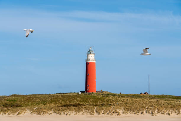 istock The lighthouse of Texel Netherlands 1494463583