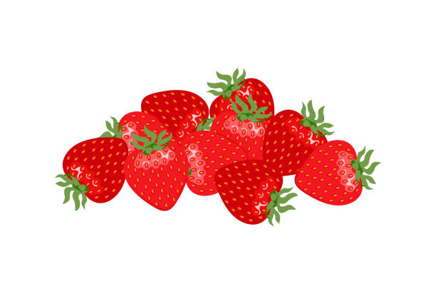 ilustraciones, imágenes clip art, dibujos animados e iconos de stock de fresa madura aislada sobre fondo blanco. un montón de bayas rojas frescas. ilustración plana de dibujos animados vectoriales. - fruit salad freshness strawberry