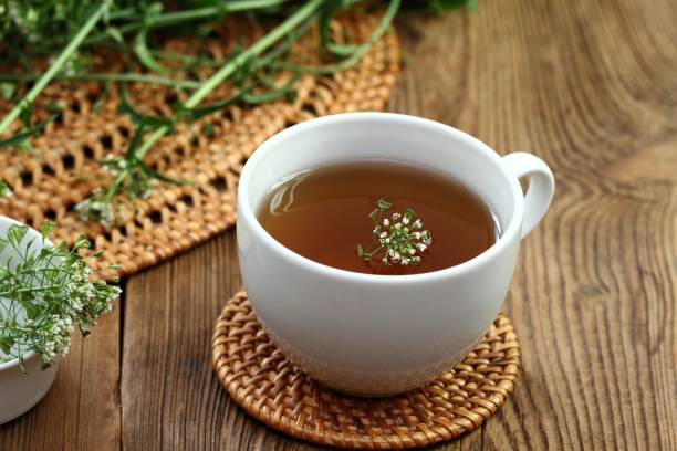 istock Herbal tea from herb Capsella bursa-pastoris, also known as  shepherd's purse 1494471355