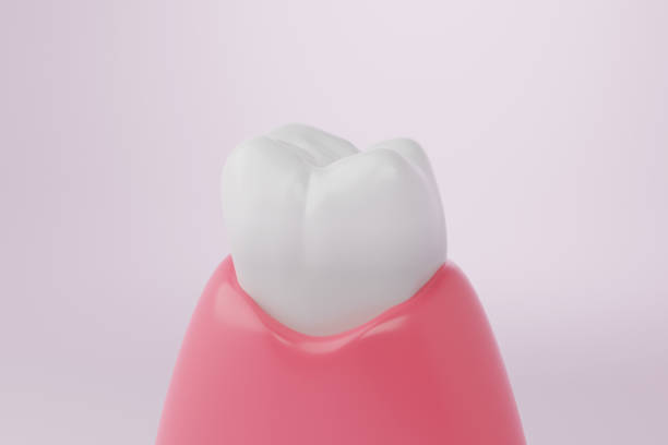 istock Healthy teeth and Pink gums 1494477974