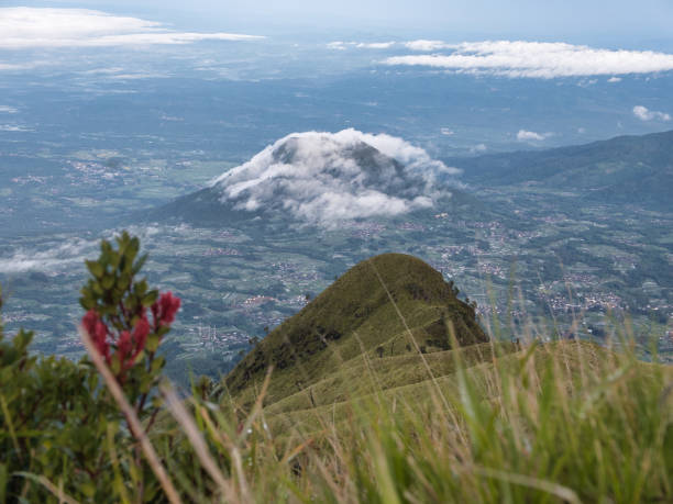 istock Landscape view of mountain 1494478946
