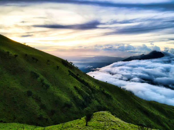 istock Landscape view of mountain 1494478995
