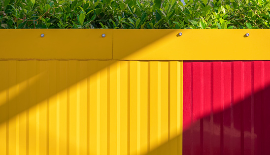 Sunlight and shadow on surface of yellow and red corrugated steel wall with row of green ornamental plant on the edge of wall outside of home