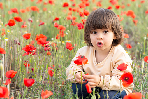 Surprised female toddler in a field full of red poppies.