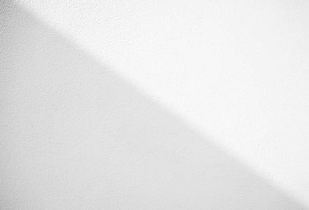 istock Shadow Background,Abstact Light White on Wall Floor Cement Marble Plant,Overlay Sunlight on Plant Minimal Mockup Photography Texture Surface Minimal Gray Construction Indoor Space Spring Summer 1494485546