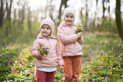 Portrait of two little sisters with bouquet of flowers on sunny forest. Outdoor spring leisure concept.