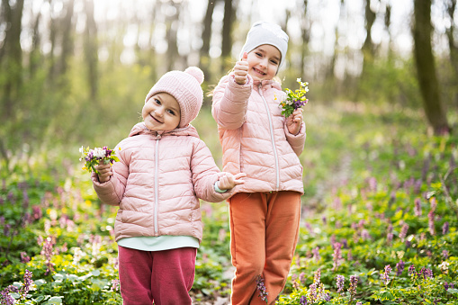 Portrait of two little sisters with bouquet of flowers on sunny forest. Outdoor spring leisure concept.