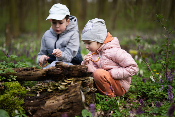 istock Brother with sister discover wood at spring forest. 1494486188
