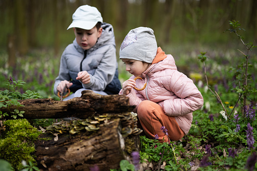 Brother with sister discover wood at spring forest.