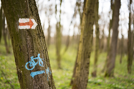 Trail and bicycle marker on tree at spring forest.