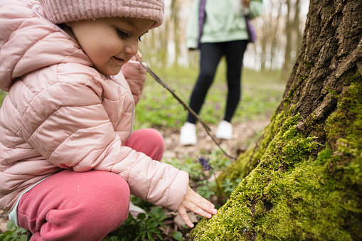 A little researcher of the forest. The girl touches moss on the tree.