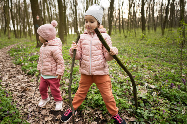 Two little girls playing with sticks in spring forest.
