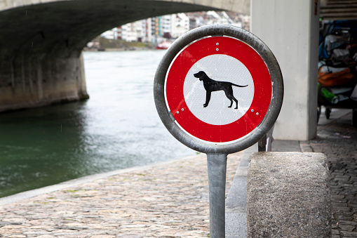 No dogs allowed sign. Taken in Latrabjarg, Iceland