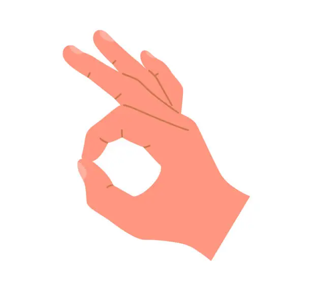Vector illustration of Hand showing OK sign. Human hand gesture. Vector illustration on an isolated white background.