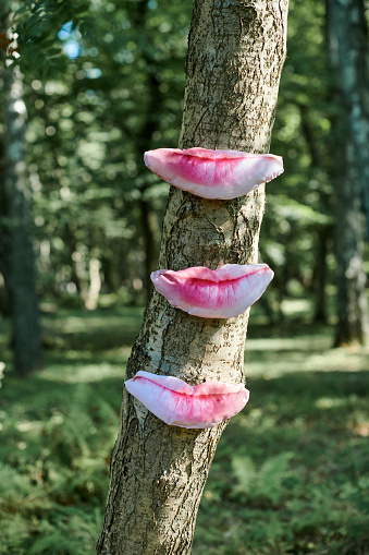 Art object of human lips on tree trunk in green forest background, trees taste feeling ecological concept, environmental protection outdoor art exhibition. Trees sense of taste, unity with nature