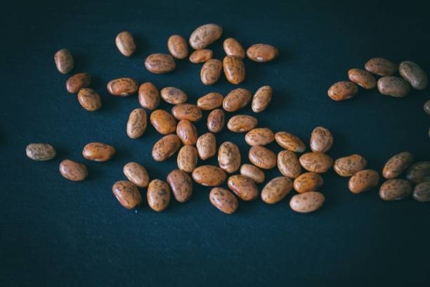 istock Closeup of raw dry pinto beans on a dark blue surface 1494498123