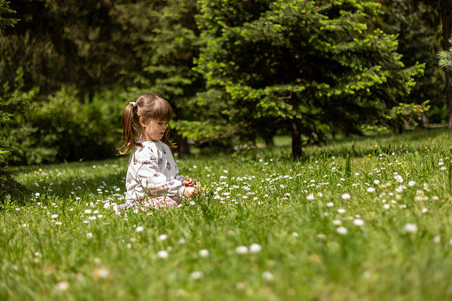 The little girl is sitting on the grass and looking for some flowers.