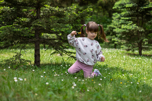 A girl is on her knees looking for flowers in the field.