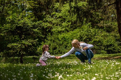 A child and a grandmother are in the forest, making a bouquet of daisies and enjoying the fresh air.