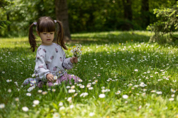 istock A girl picks daisies for her bouquet 1494498935