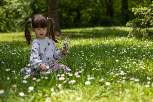 The girl is sitting on the grass, holding a bouquet in one hand and picking daisies with the other. Enjoying fresh air and beautiful nature.