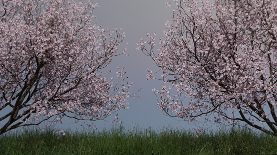 Blooming pink apple tree at dawn sunset sunrise in the tall grass. 3d render