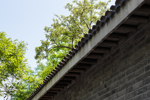 Chinese traditional building roof