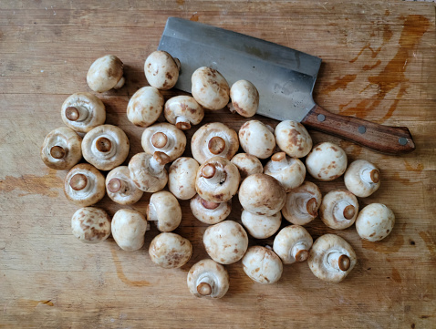 fresh white mushrooms