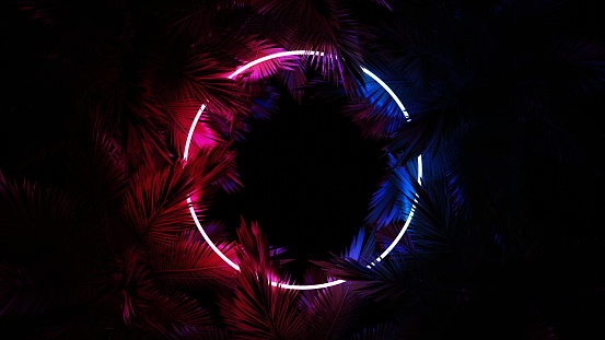 Neon glowing circle ring in palm leaves, tropical dark background. Blue purple yellow green color. Glowing linear volumetric neon round circle. 3d render