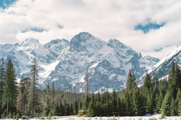 Winter view of High Tatra Mountains. Tatra Mountains. Winter view of High Tatra Mountains. Mountain winter landscape tatry high tatras stock pictures, royalty-free photos & images