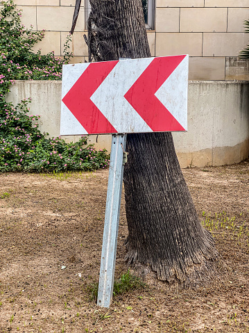 Totally out of context direction sign leaning on tree