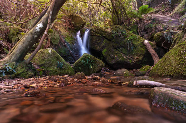istock Blue Mountain Falls in Sydney, Australia. Long Exposure 1494507921