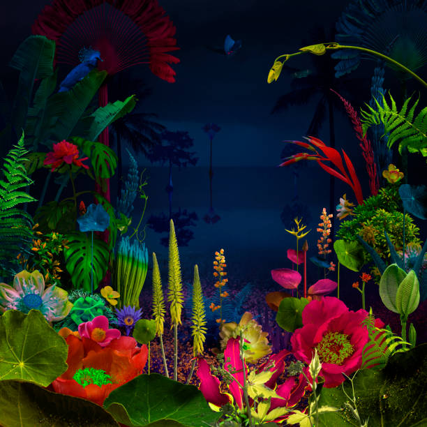 Beautiful blossom night jungle garden stock photo