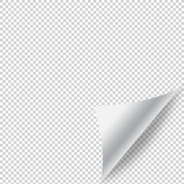 Vector illustration of Rolled Paper Vector Design on Transparent Background.