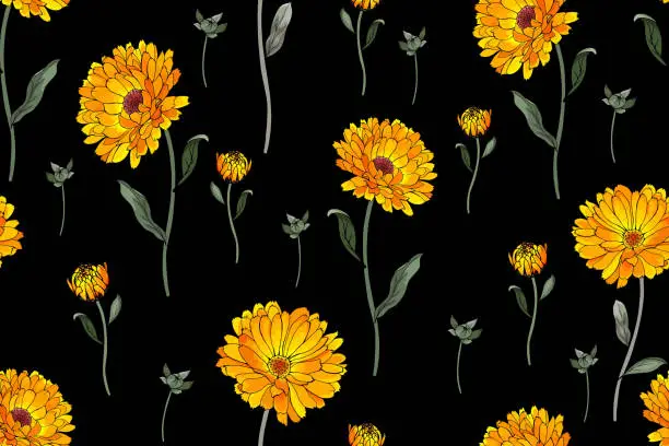 Vector illustration of Seamless pattern with yellow flowers calendula