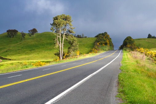 Road With Painted Double Yellow Line. This photo was taken on State Highway between Taupo and Rotorua, New Zealand.