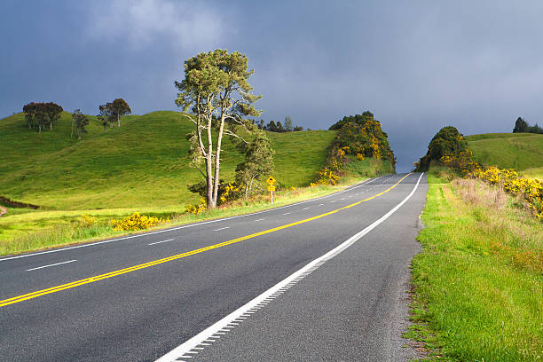 Road With Painted Double Yellow Line, New Zealand. Road With Painted Double Yellow Line. This photo was taken on State Highway between Taupo and Rotorua, New Zealand. waikato region stock pictures, royalty-free photos & images