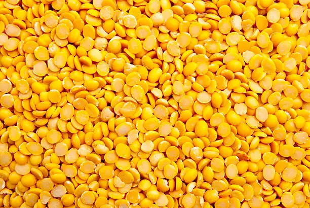 Photo of soybean