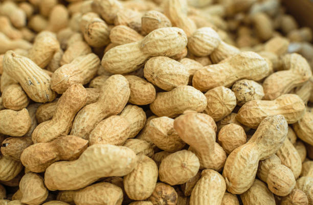 istock Image of peanuts stocked in market for consumption. 1494517911