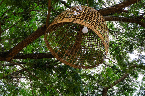 istock Chicken Coop Lamp hanging on the tree. 1494518007
