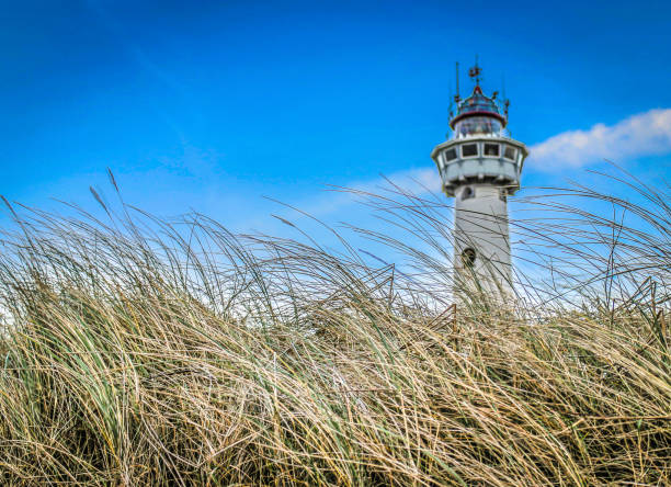 istock Lighthouse near at the North Sea shore 1494524545