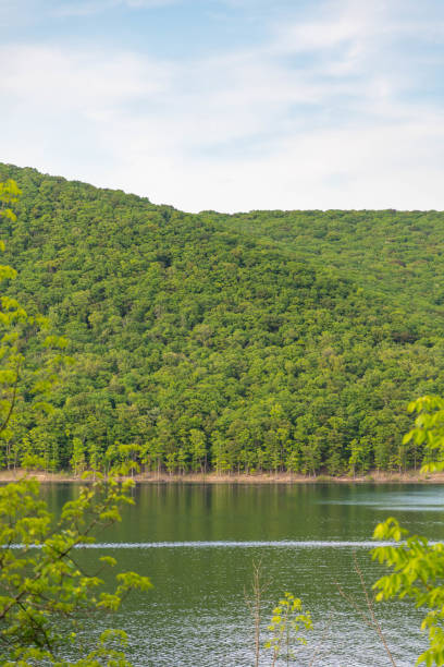 istock Allegheny national forest information Kinzua point copy space backgrounds vacation destination 1494524608